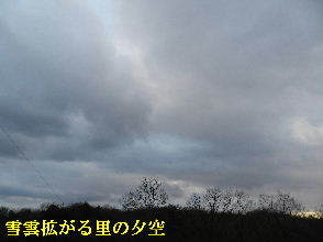 2022-01・04　雪雲拡がる里の夕空・・・ (4).JPG