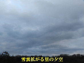 2022-01・04　雪雲拡がる里の夕空・・・ (5).JPG