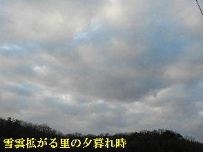 2022-01・07　雪雲拡がる里の夕暮れ時・・・ (1).JPG