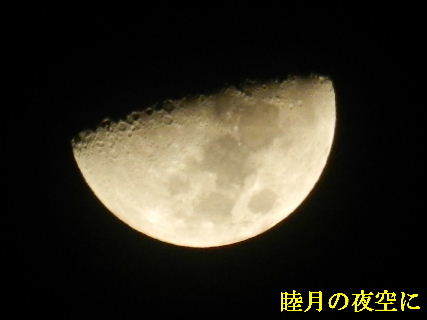 2022-01・10　睦月の夜空に・・・ (1).JPG