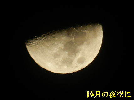 2022-01・10　睦月の夜空に・・・ (2).JPG