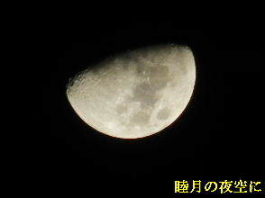 2022-01・11　睦月の夜空に・・・ (2).JPG