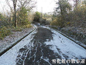 2022-01・12　雪化粧の散歩道・・・ (2).JPG