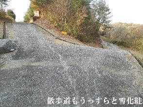 2022-01・18　雪化粧の里山模様・・・ (5).JPG