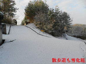 2022-01・21　雪化粧の里山模様・・・ (10).JPG
