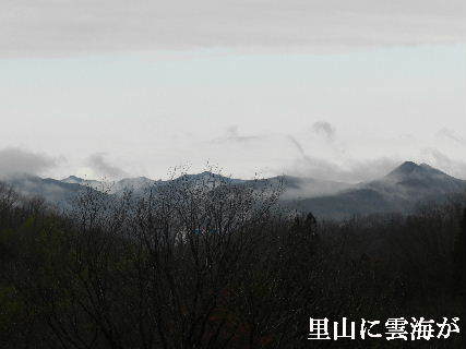 2022-03・14　里山に雲海が.JPG