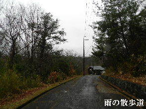 2022-03・22　雨降る里山模様・・・ (4).JPG