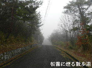 2022-03・24　朝霧に煙る散歩道 ・・・(1).JPG