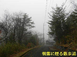 2022-03・24　朝霧に煙る散歩道 ・・・(2).JPG