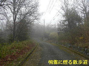 2022-03・24　朝霧に煙る散歩道 ・・・(3).JPG