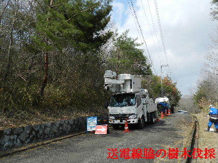 2022-03・24　送電線脇の樹木伐採を (1).JPG