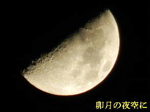 2022-04・10　卯月の夜空に・・・ (1).JPG