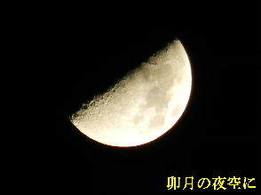 2022-04・10　卯月の夜空に・・・ (3).JPG