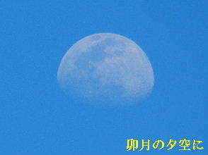 2022-04・11　卯月の空に輝く月 (1).JPG