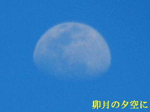 2022-04・11　卯月の空に輝く月 (2).JPG