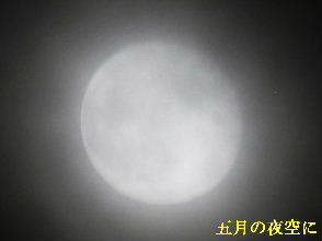 2022-05・18　五月の夜空に (1).JPG