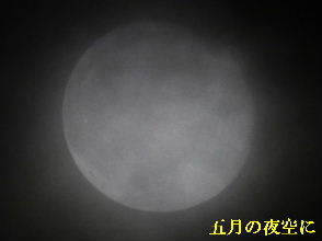 2022-05・18　五月の夜空に (2).JPG