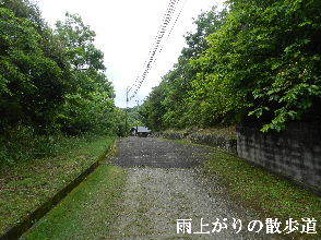 2022-05・27　雨上がりの散歩道・・・ (2).JPG