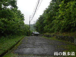 2022-05・31　雨の散歩道・・・ (1).JPG