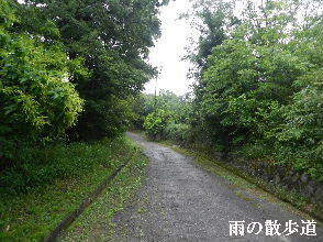 2022-05・31　雨の散歩道・・・ (2).JPG