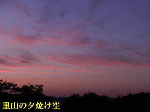 2022-06・01　里山の夕焼け空・・・ (2).JPG