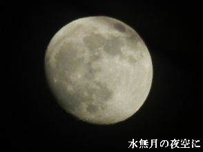 2022-06・12　水無月の夜空に・・・ (2).JPG