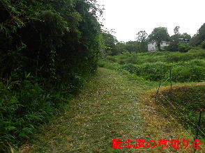 2022-07・04　散歩道の草刈りを・・・。 (2).JPG