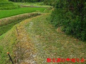 2022-07・04　散歩道の草刈りを・・・。 (3).JPG