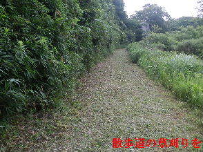 2022-07・04　散歩道の草刈りを・・・。 (4).JPG