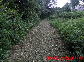 2022-07・04　散歩道の草刈りを・・・。 (5).JPG