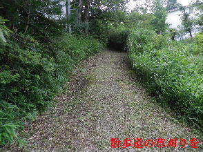 2022-07・04　散歩道の草刈りを・・・。 (6).JPG