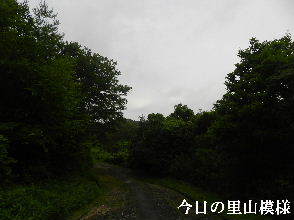 2022-07・08　今日の里山模様・・・ (4).JPG