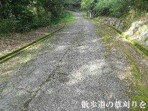 2022-07・22　散歩道の草刈りを・・・ (1).JPG