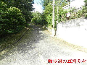2022-07・22　散歩道の草刈りを・・・ (2).JPG