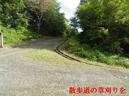 2022-07・22　散歩道の草刈りを・・・ (3).JPG