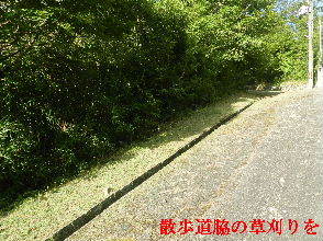 2022-07・22　散歩道の草刈りを・・・ (4).JPG