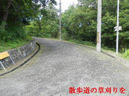 2022-07・23　散歩道の草刈りを・・・ (2).JPG