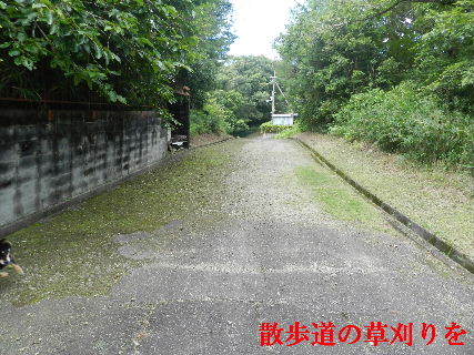 2022-07・23　散歩道の草刈りを・・・ (4).JPG