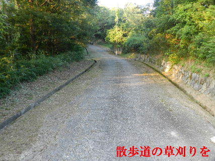 2022-07・24　散歩道の草刈りを・・・ (1).JPG