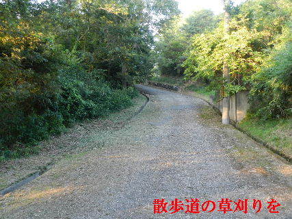 2022-07・24　散歩道の草刈りを・・・ (2).JPG
