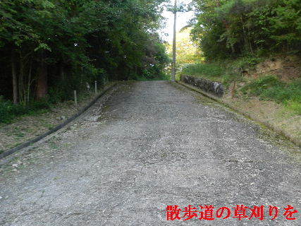 2022-07・24　散歩道の草刈りを・・・ (3).JPG