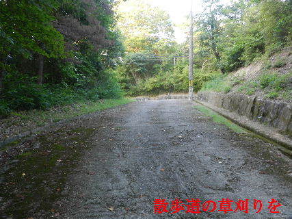 2022-07・24　散歩道の草刈りを・・・ (4).JPG
