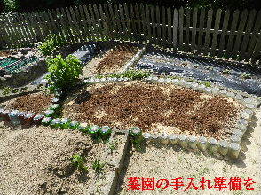 2022-07・28　菜園の手入れ模様を (9).JPG
