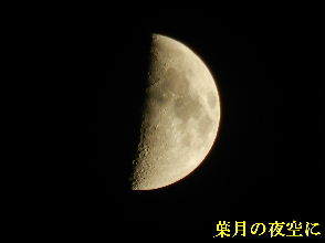 2022-08・05　葉月の夜空に (1).JPG
