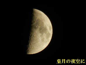 2022-08・05　葉月の夜空に (3).JPG