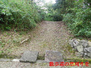 2022-08・13　散歩道の草刈りを・・・ (1).JPG