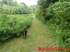 2022-08・13　散歩道の草刈りを・・・ (5).JPG