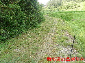2022-08・13　散歩道の草刈りを・・・ (7).JPG