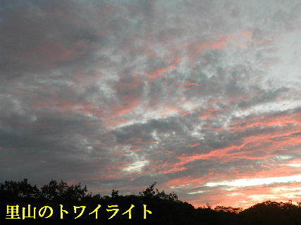 2022-09・29　里山のトワイライト・・・ (3).JPG