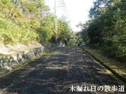 2022-10・23　木漏れ日の散歩道 (1).JPG